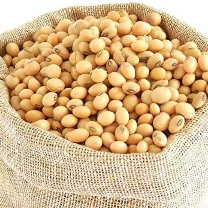 Picture of White Soybean (Seto Bhatmaas) 1kg