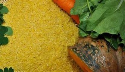 Picture of Jaki golden rice 20 kg