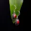 Picture of Pure Silver Earring With Natural Coral/Women/5.4 Gram