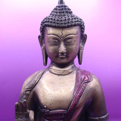 Picture of Lord Buddha Statue Of Shakyamuni
