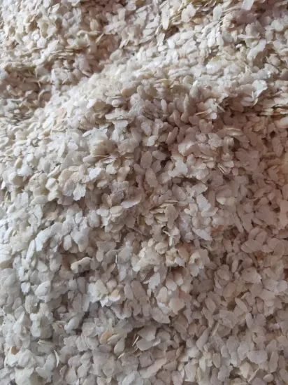 Picture of Seto Taichin Chiura 2kg