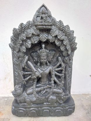 Picture of Manjushree