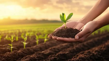 Picture for category Organic