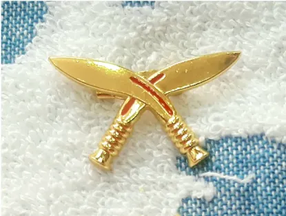 Picture of 6 in 1 Lapel Pin Badge For Coat and Topi