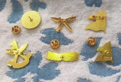 Picture of 6 in 1 Lapel Pin Badge For Coat and Topi