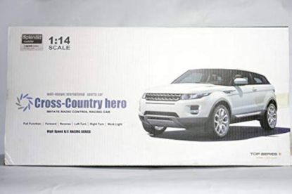 Picture of RC Cross Country Hero Toy