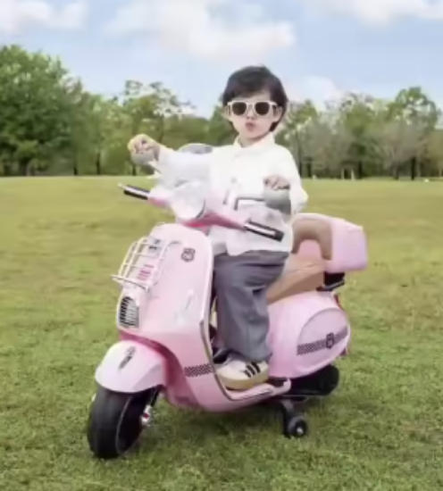 Picture of Vespa Hand Accelerator With Break HLW1389