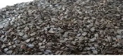 Picture of Wild Silam (वन सिलाम) 1KG