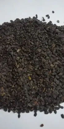 Picture of Wild Silam (वन सिलाम) - 500Gram