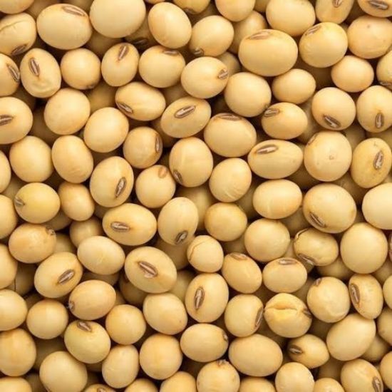 Picture of Soybean (भटमास ) 1 KG