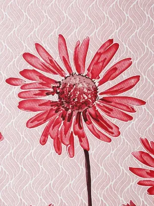 Picture of Home Sizzler 2 Pieces Sunflower Panel Eyelet Polyester Door Curtains - 7 Feet, Maroon