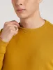 Picture of Men's Cotton Blend Round Neck Regular Sweatshirt