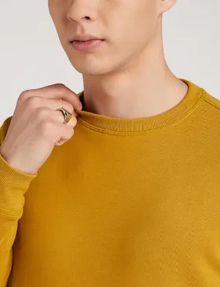 Picture of Men's Cotton Blend Round Neck Regular Sweatshirt