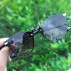 Picture of Shaded Black Rimless Cat Eye Sunglasses For Women