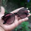 Picture of Shaded Black Rimless Cat Eye Sunglasses For Women