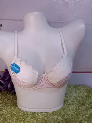 Picture of Women comfortable princess bra.