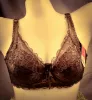 Picture of New Design Netted C Cup & Plus Size Bra For Women