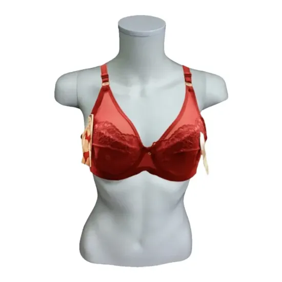 Picture of Lace Designed Light Foam Bra With Wired