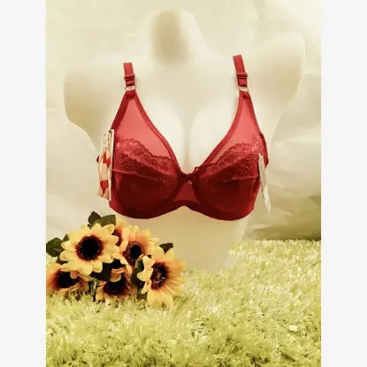 Picture of Lace Designed Light Foam Bra With Wired