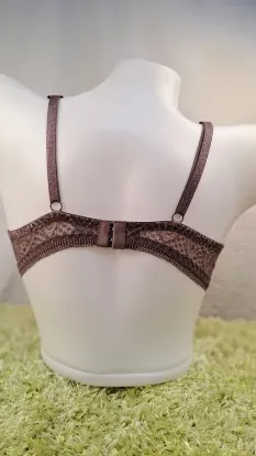 Picture of New Arrivals Yadaili Full Net Pushup Bra For Women