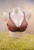 Picture of New Arrivals Yadaili Full Net Pushup Bra For Women