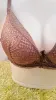 Picture of New Arrivals Yadaili Full Net Pushup Bra For Women