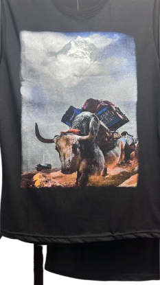 Picture of Men's T-shirt