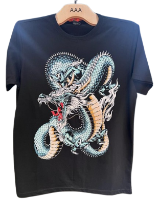 Picture of Men's T-shirt