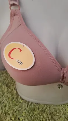 Picture of Plus Size Soft Padded C Cup Without Wired Bra For Women - Fashion | Bras For Women | Innerwear For Women |