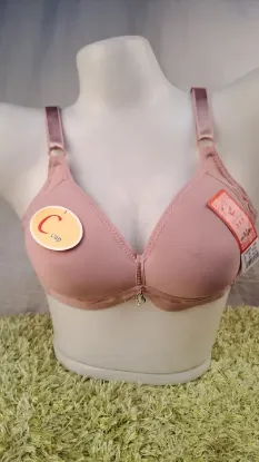 Picture of Plus Size Soft Padded C Cup Without Wired Bra For Women - Fashion | Bras For Women | Innerwear For Women |
