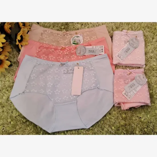 Picture of Combo of 5 Front Net Cotton Panty For Women